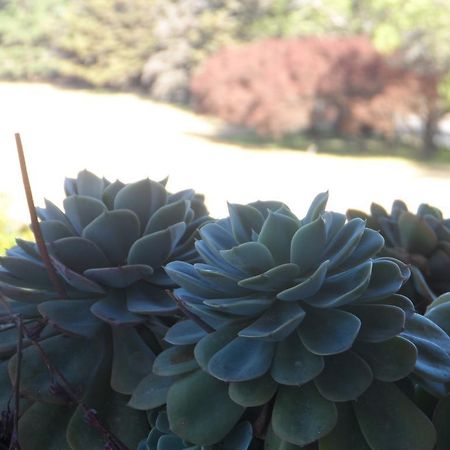 Hotel Victoria Golf 라쿰브레 외부 사진